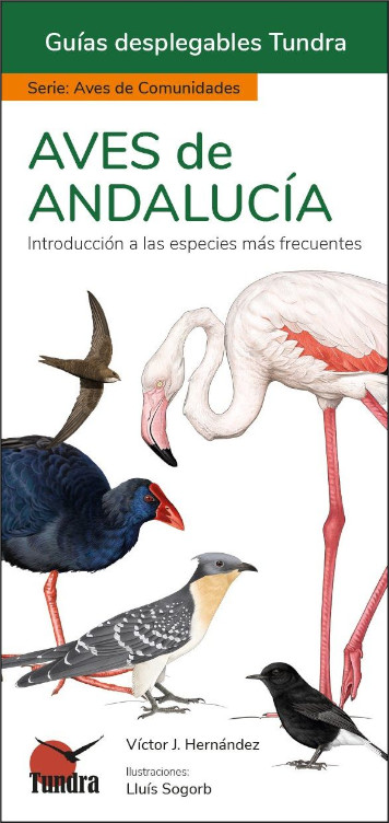 AVES DE ANDALUCÍA. INTRODUCCIÓN A LAS ESPECIES MÁS FRECUENTES. GUÍAS DESPLEGABLES TUNDRA
