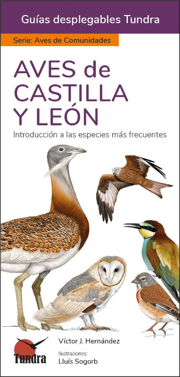 AVES DE CASTILLA Y LEÓN. INTRODUCCIÓN A LAS ESPECIES MÁS FRECUENTES. GUÍAS DESPLEGABLES TUNDRA