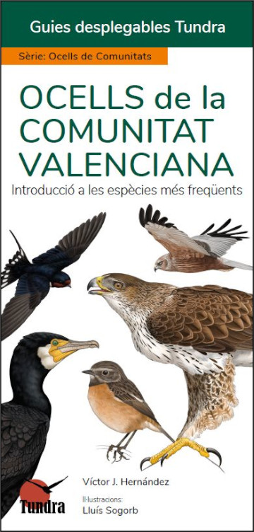 OCELLS DE LA COMUNITAT VALENCIANA. INTRODUCCIÓ A LES ESPÈCIES MÉS FREQÜENTS. GUIES DESPLEGABLES TUNDRA 1