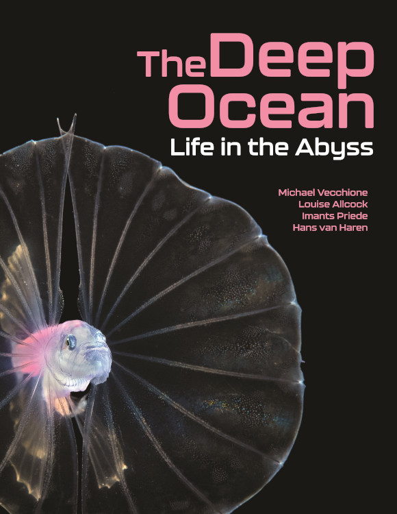 THE DEEP OCEAN. LIFE IN THE ABYSS