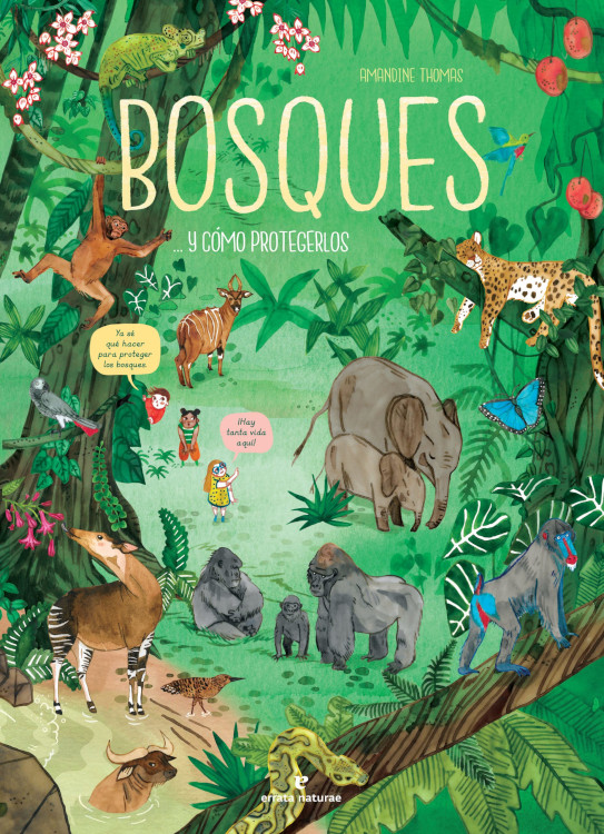 BOSQUES... Y CÓMO PROTEGERLOS 1