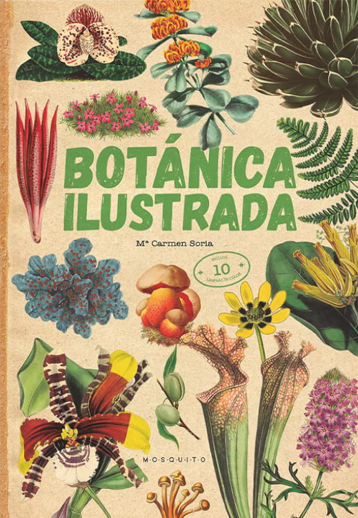 BOTÁNICA ILUSTRADA 1