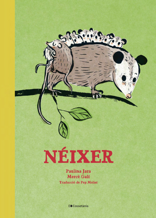 NÉIXER 1