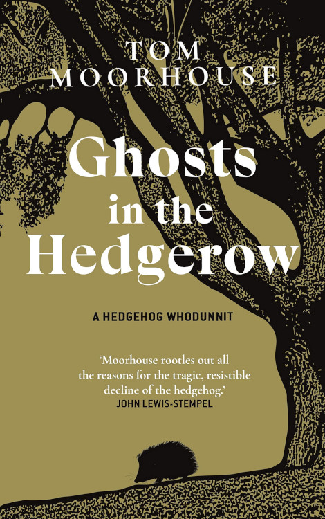 GHOSTS IN THE HEDGEROW 1