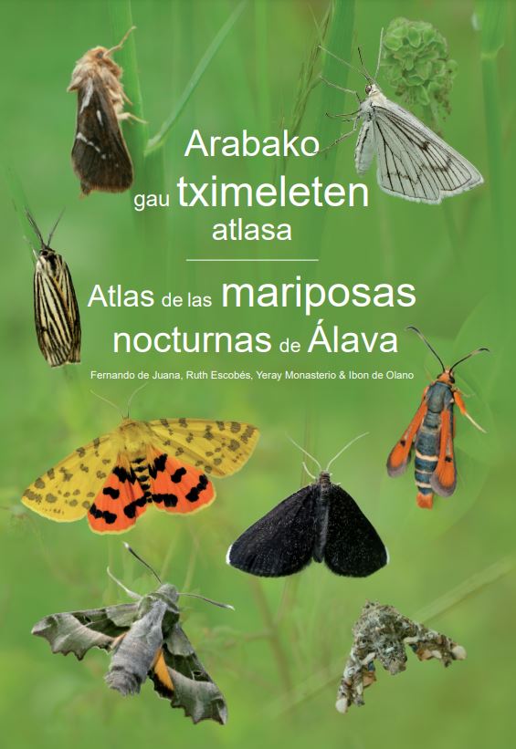 ARABAKO GAU TXIMELETEN ATLASA / ATLAS DE LAS MARIPOSAS NOCTURNAS DE ALAVA
