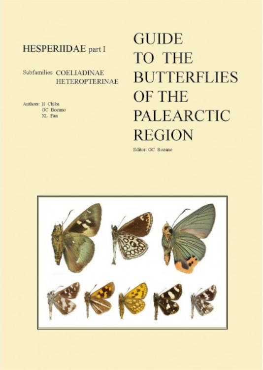 GUIDE TO THE BUTTERFLIES OF THE PALEARCTIC REGION. HESPERIIDAE PART 1 1