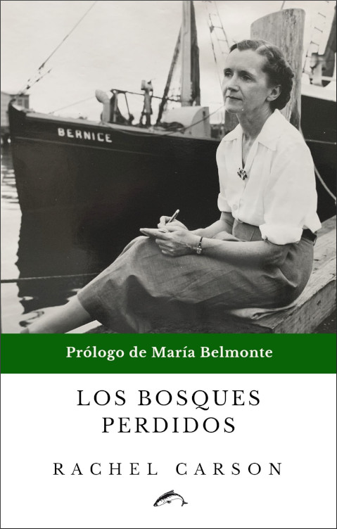 LOS BOSQUES PERDIDOS 1