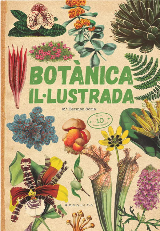 BOTÀNICA IL·LUSTRADA 1
