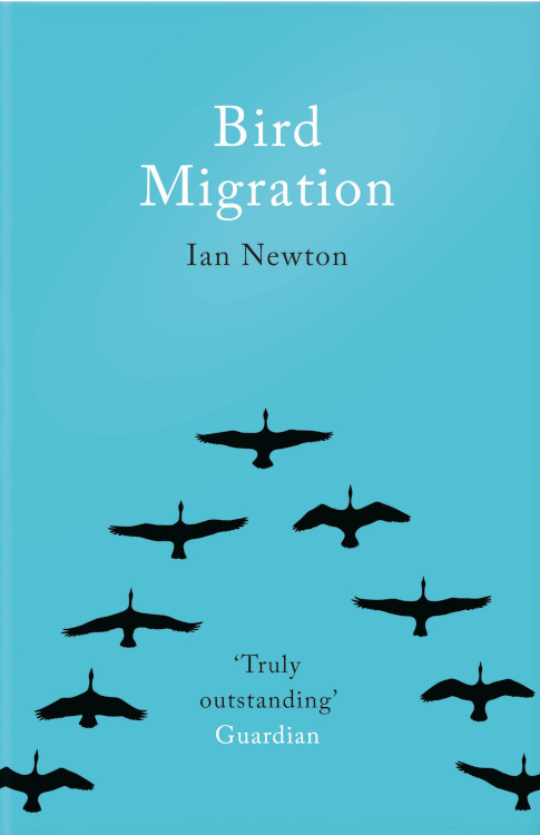 BIRD MIGRATION 1