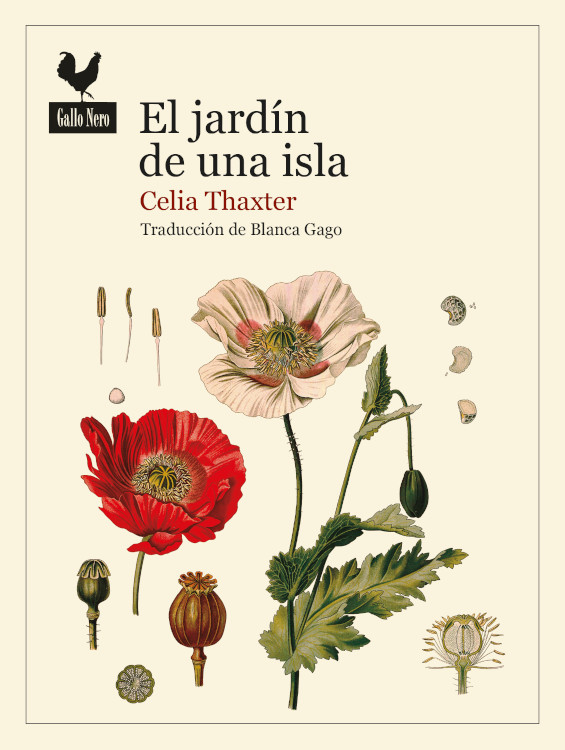 EL JARDÍN DE UNA ISLA 1