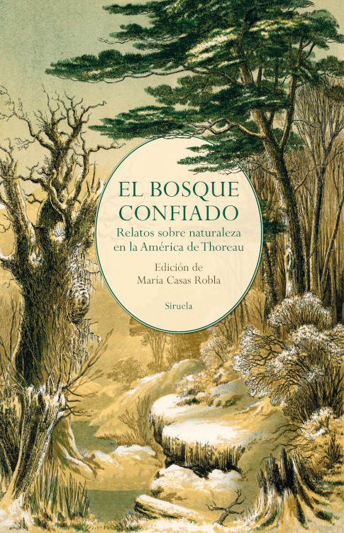 EL BOSQUE CONFIADO