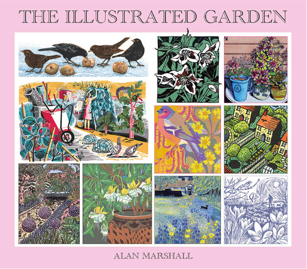 THE ILLUSTRATED GARDEN 1