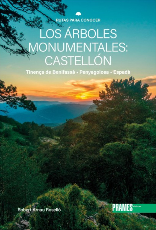 LOS ÁRBOLES MONUMENTALES: CASTELLÓN