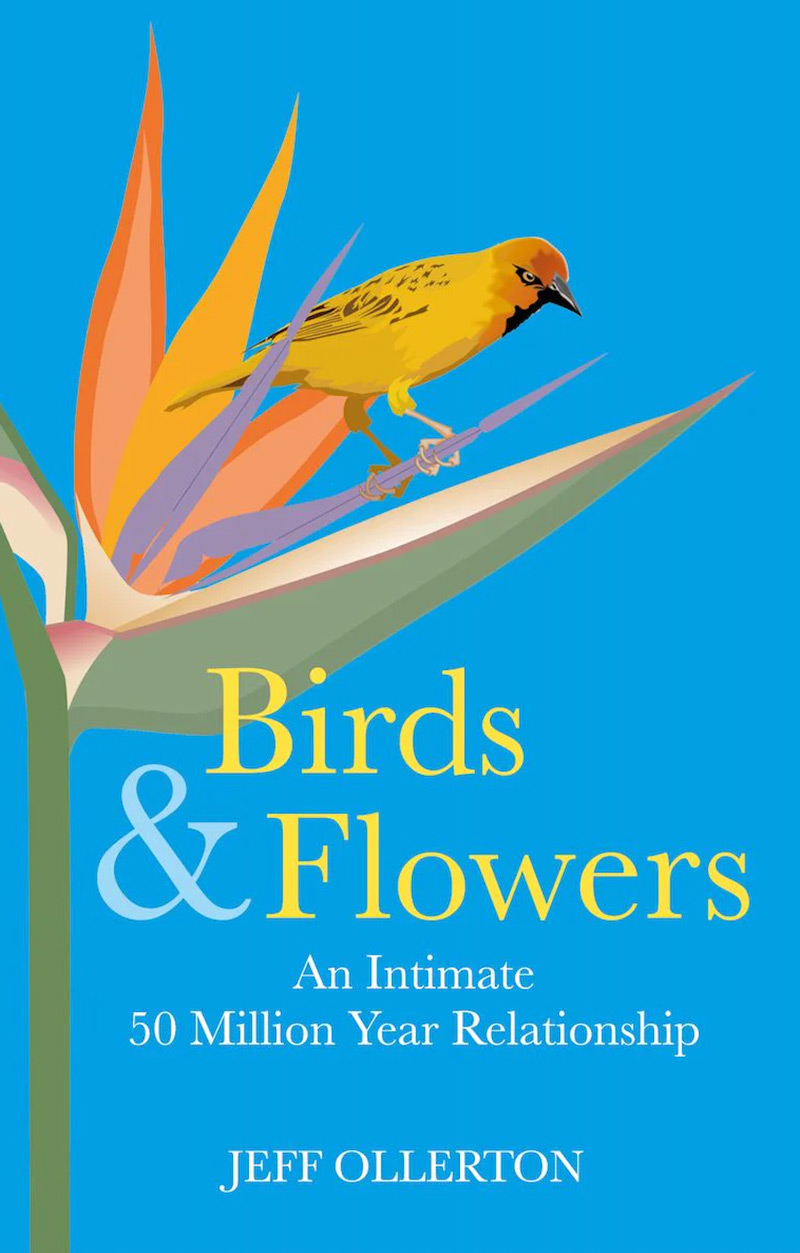 BIRDS AND FLOWERS. AN INTIMATE 50 MILLION YEAR RELATIONSHIP