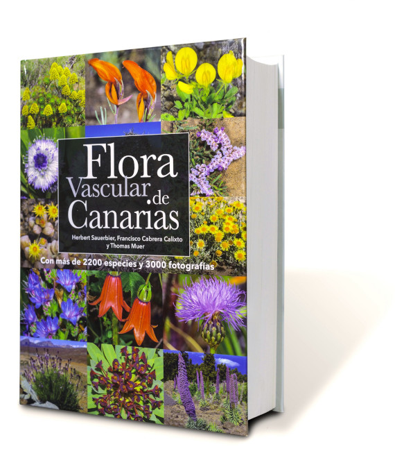 FLORA VASCULAR DE CANARIAS