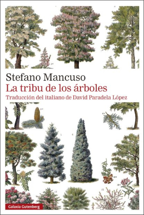 LA TRIBU DE LOS ÁRBOLES 1