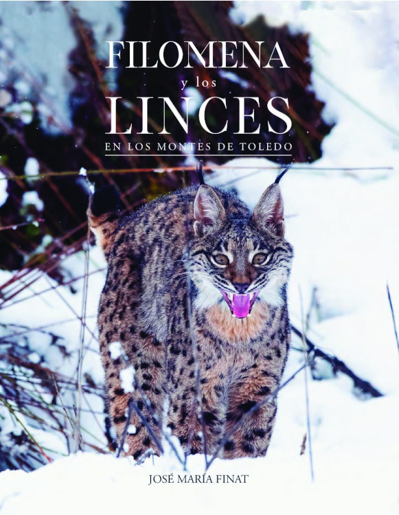 FILOMENA Y LOS LINCES EN LOS MONTES PERDIDOS