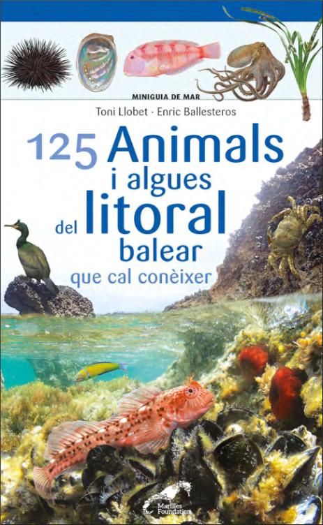 125 ANIMALS I ALGUES DEL LITORAL BALEAR QUE CAL CONÈIXER. MINIGUIA DE MAR 1
