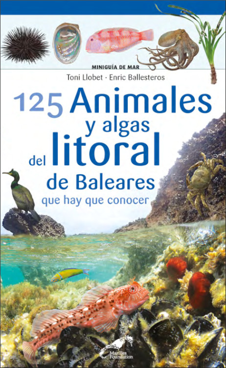 125 ANIMALES Y ALGAS DEL LITORAL DE BALEARES QUE HAY QUE CONOCER. MINIGUIA DE MAR 1