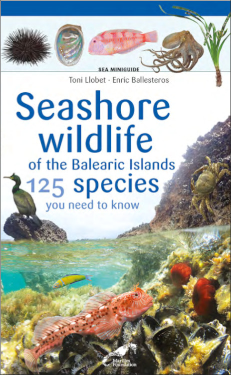 SEASHORE WILDLIFE OF THE BALEARIC ISLANS. 125 SPECIES YOU NEED TO KNOW. SEA MINIGUIDE 1