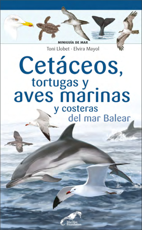 CETÁCEOS, TORTUGAS Y AVES MARINAS Y COSTERAS DEL MAR BALEAR. MINIGUÍA DE MAR 1