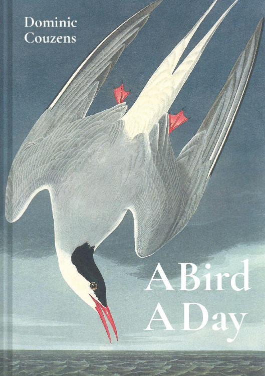 A BIRD A DAY