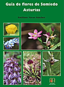 GUÍA DE FLORES DE SOMIEDO ASTURIAS 1