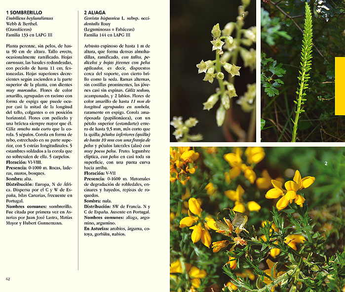 GUÍA DE FLORES DE SOMIEDO ASTURIAS 2