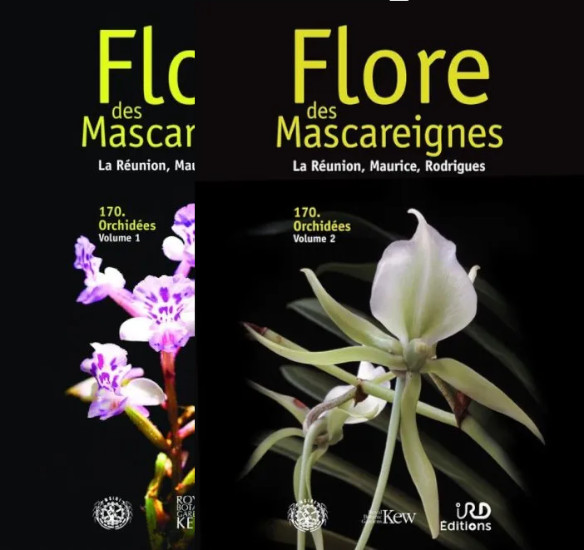FLORE DES MASCAREIGNES 170. ORCHIDÉES (PACK 2 VOL.) 1