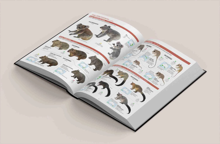 ALL THE MAMMALS OF THE WORLD 2