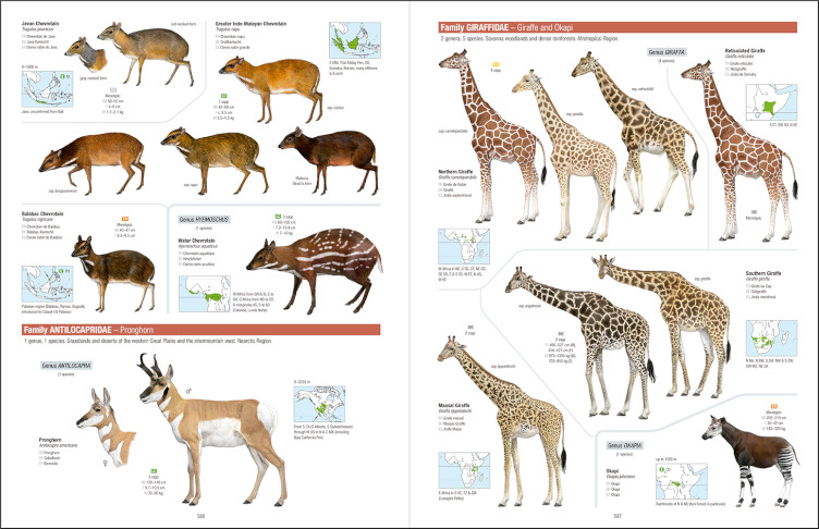 ALL THE MAMMALS OF THE WORLD 3