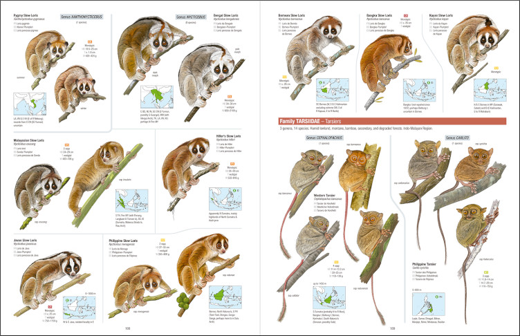 ALL THE MAMMALS OF THE WORLD 5