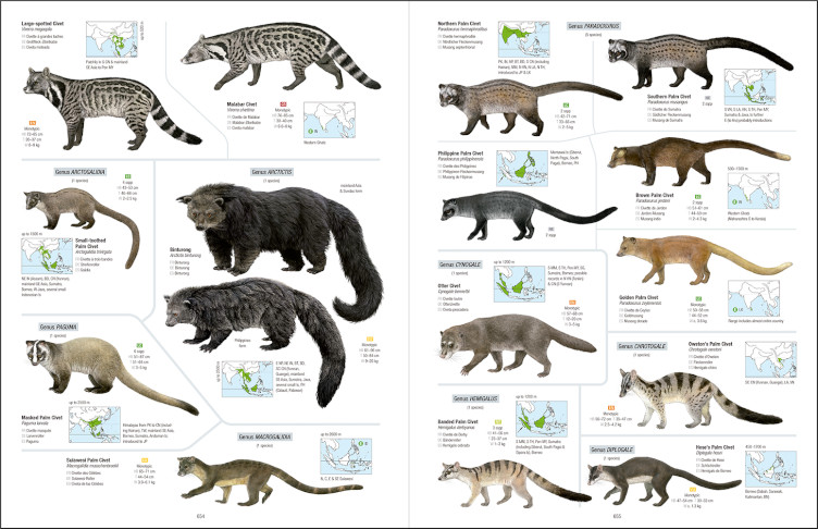 ALL THE MAMMALS OF THE WORLD 6