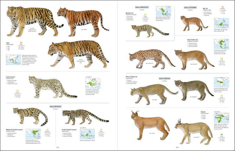 ALL THE MAMMALS OF THE WORLD 7