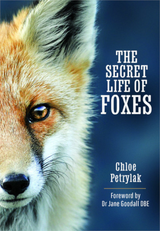 THE SECRET LIFE OF FOXES