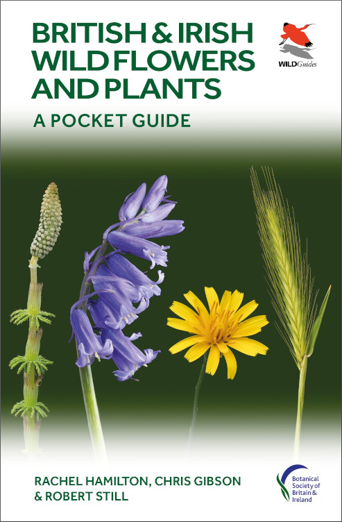 BRITISH & IRISH WILD FLOWERS AND PLANTS