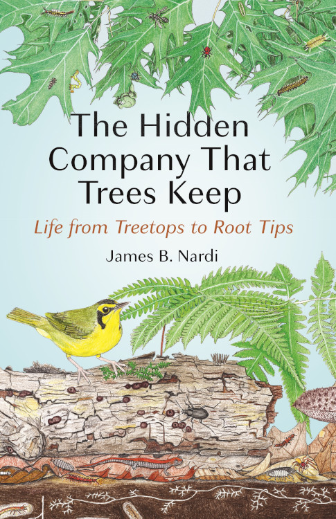 THE HIDDEN COMPANY THAT TREES KEEP. LIFE FROM TREETOPS TO ROOT TIPS