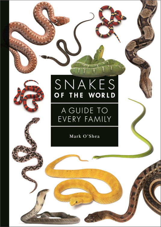 SNAKES OF THE WORLD: A GUIDE TO EVERY FAMILY