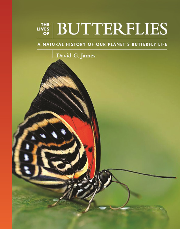 THE LIVES OF BUTTERFLIES: A NATURAL HISTORY OF OUR PLANET'S BUTTERFLY LIFE