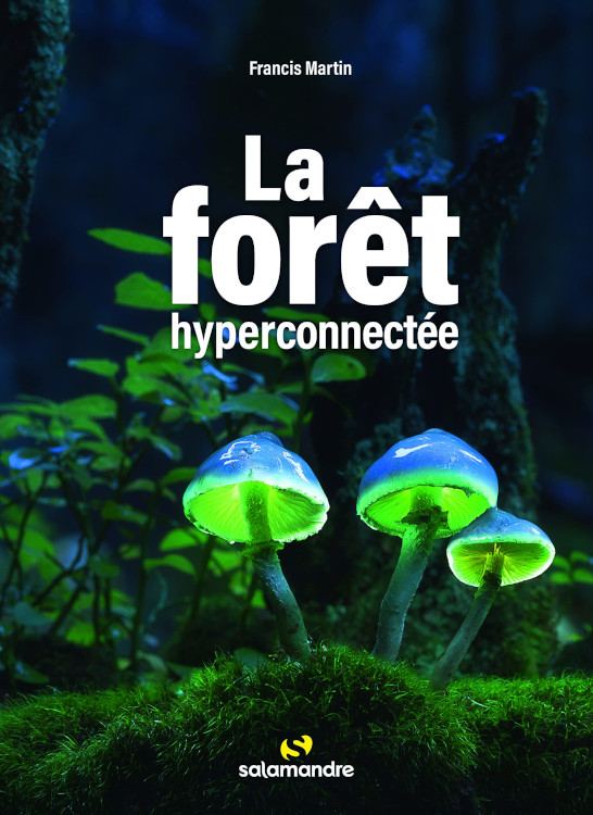LA FORÊT HYPERCONNECTÉE 1