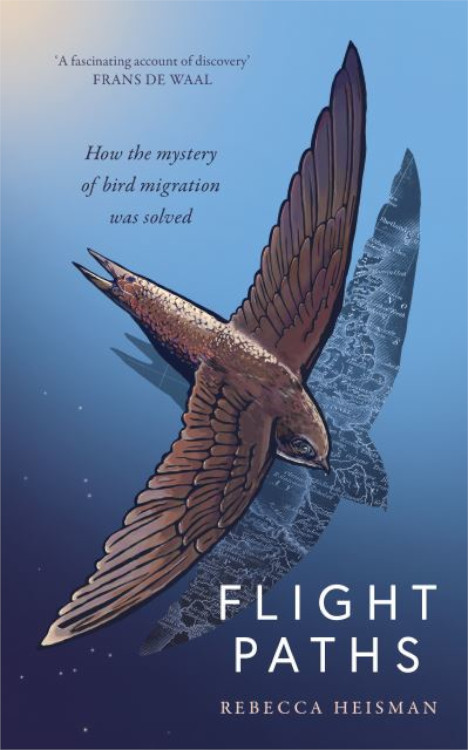 FLIGHT PATHS. HOW THE MYSTERY OF BIRD MIGRATION WAS SOLVED 1