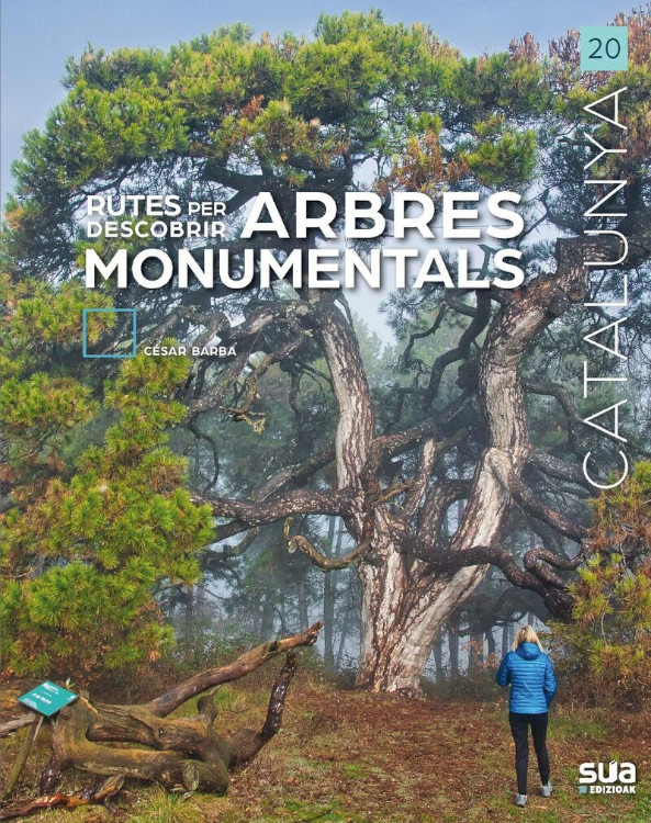 RUTES PER DESCOBRIR ARBRES MONUMENTALS 1