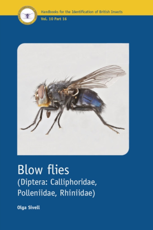 BLOW FLIES (DIPTERA: CALLIPHORIDAE, POLLENIIDAE, RHINIIDAE). HANDBOOKS FOR THE IDENTIFICATION OF BRITISH INSECTS VOL.10 PART 16