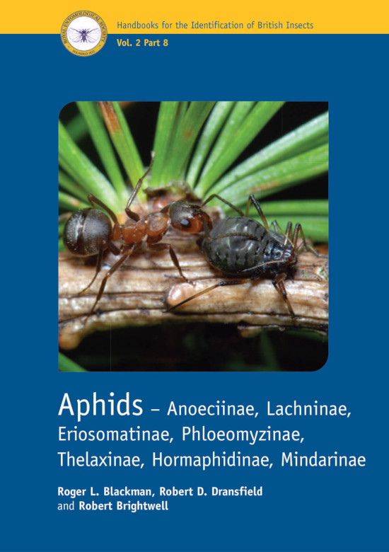APHIDS - ANOECIINAE, LACHNINAE, ERIOSOMATINAE, PHLOEOMYZINAE, THELAXINAE. HORMAPHIDINAE, MINDARINAE. HANDBOOKS FOR THE IDENTIFICATION OF BRITISH INSEC 1