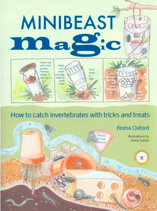 MINIBEAST MAGIC. HOW TO CATCH INVERTEBRATES WITH TRUCKS AND TREATS