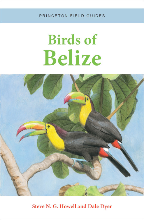 BIRDS OF BELIZE. PRINCETON FIELD GUIDES