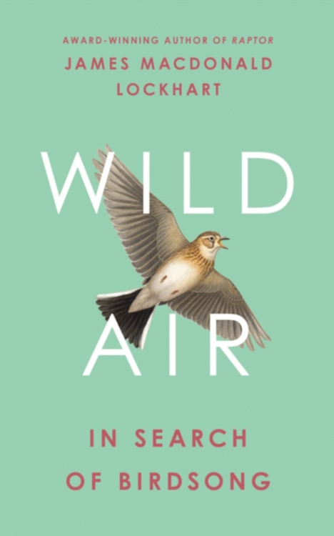 WILD AIR. IN SEARCH OF BIRDSONG 1