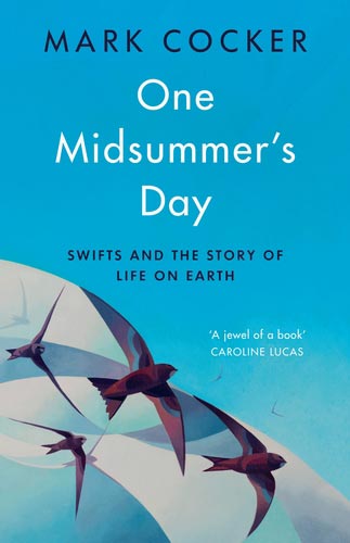 ONE MIDSUMMER'S DAY. SWIFTS AND THE STORY OF LIFE ON EARTH 1