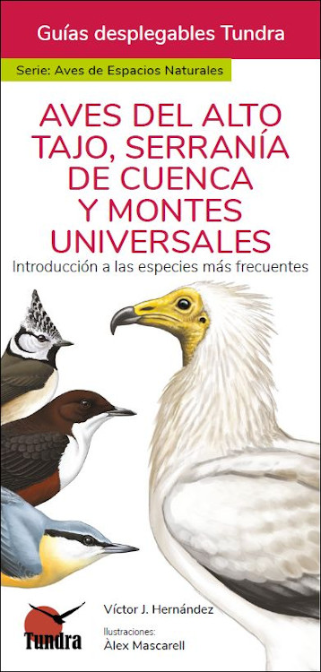 AVES DEL ALTO TAJO, SERRANÍA DE CUENCA Y MONTES UNIVERSALES. INTRODUCCIÓN A LAS ESPECIES MÁS FRECUENTES. GUÍAS DESPLEGABLES TUNDRA