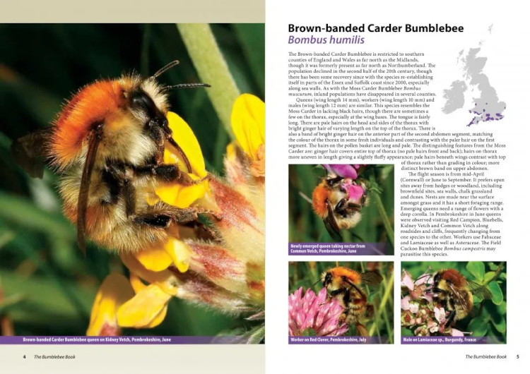 THE BUMBLEBEE BOOK. A GUIDE TO BRITAIN & IRELAND'S BUMBLEBEES 2